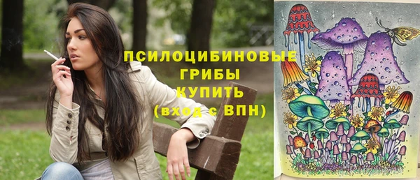 ПСИЛОЦИБИНОВЫЕ ГРИБЫ Дмитровск