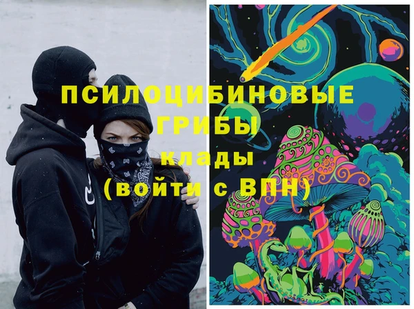 ПСИЛОЦИБИНОВЫЕ ГРИБЫ Дмитровск
