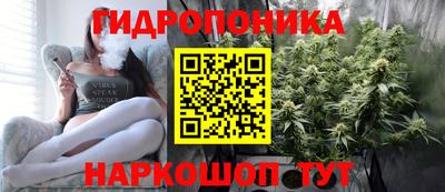 Альфа ПВП Кинель