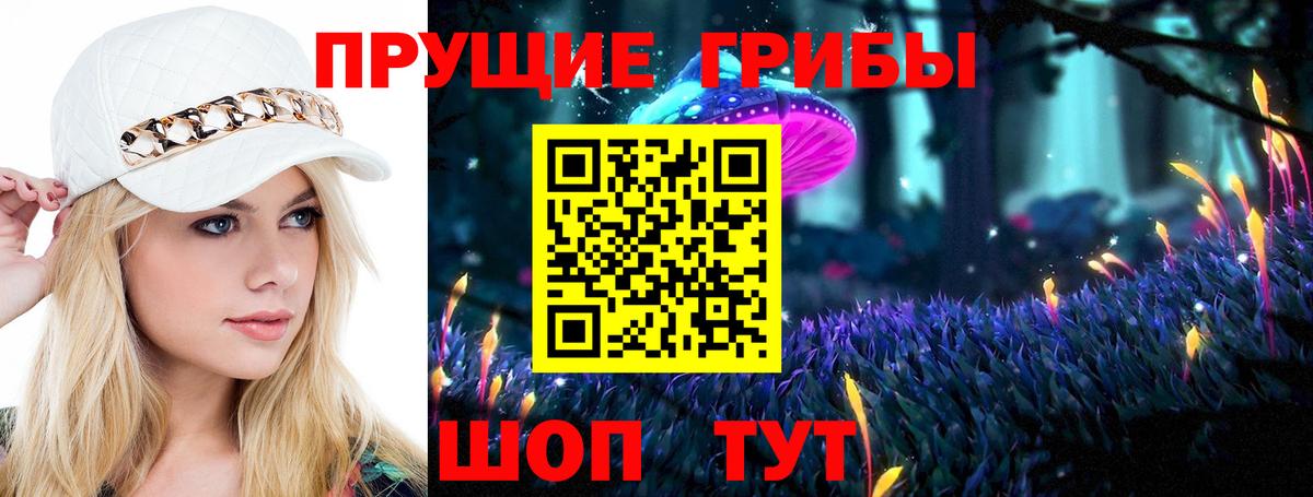 Галлюциногенные грибы Psilocybe Нурлат