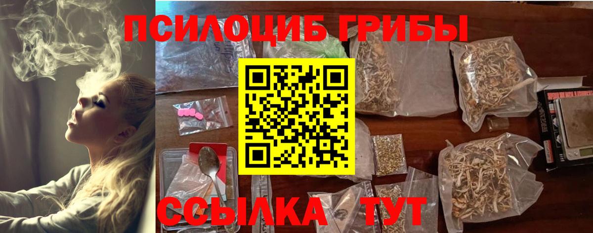 Псилоцибиновые грибы Cubensis  Галлюциногенные грибы ЛСД  Нурлат 