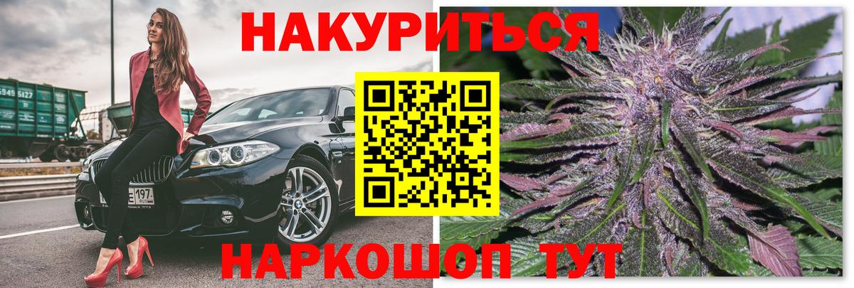 Канабис конопля  Конопля сатива  Вход с VPN  Каннабис Amnesia  Нурлат  Марихуана сатива 